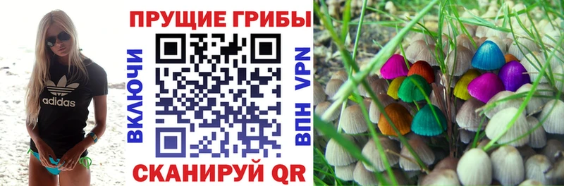Псилоцибиновые грибы мицелий  Сафоново 